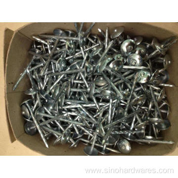 Galvanized Roofing Screws Washer Nails